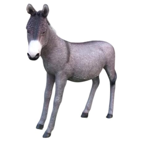 DONKEY GRAY