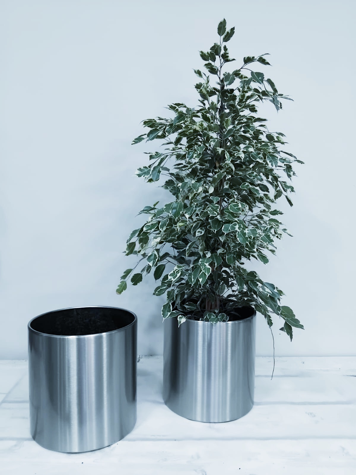 WhatsApp Image 2024-12-15 at 11.07.24 AM