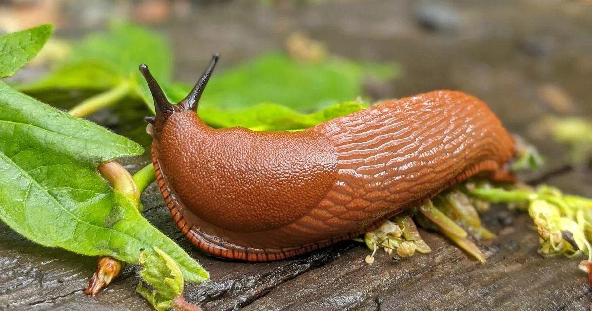 WhatsApp Image 2024-12-28 at 1.47.13 PM (1)