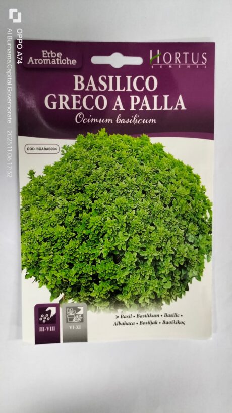 Hortus Basil Greco 1gr