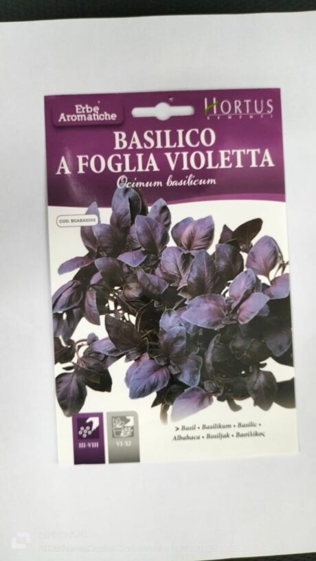Hortus Basil Violetta 1gr
