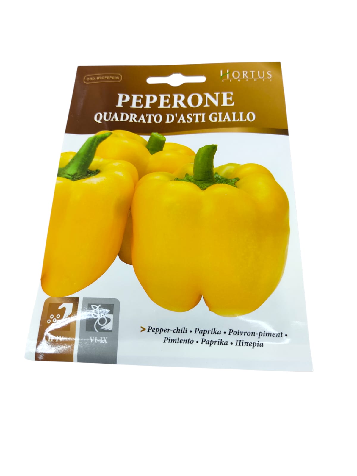 WhatsApp Image 2025-12-01 at 9.21.36 AM (2)