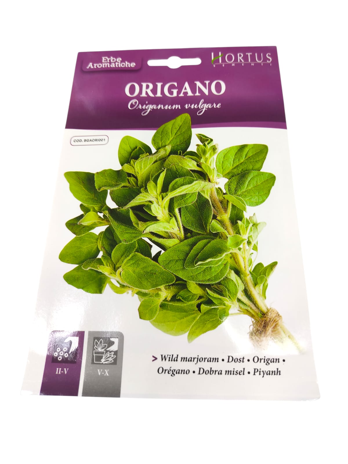 WhatsApp Image 2025-12-01 at 9.21.38 AM (3)