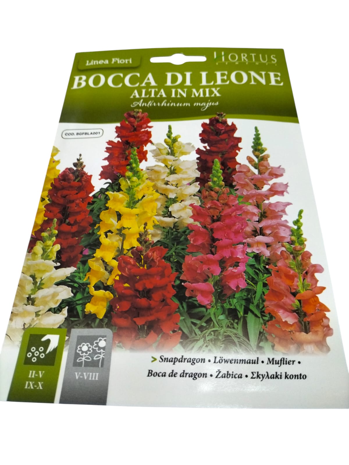 WhatsApp Image 2025-12-02 at 9.52.47 AM