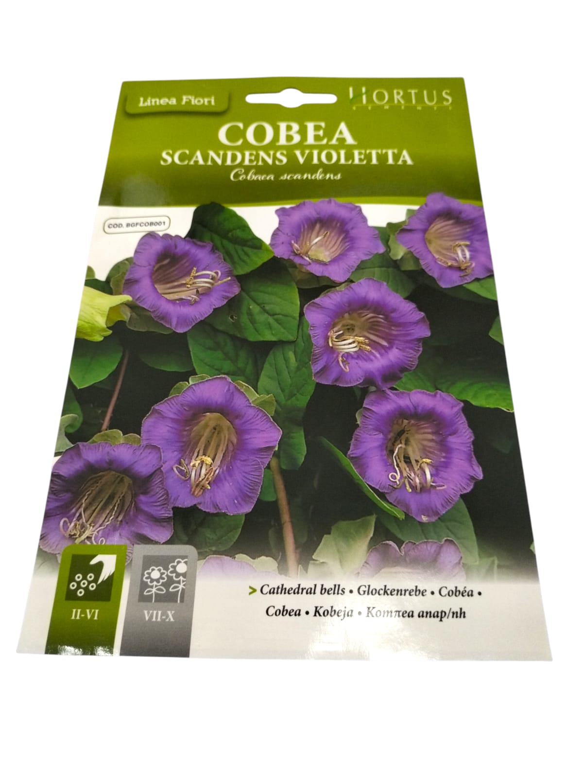 WhatsApp Image 2025-12-02 at 9.52.54 AM