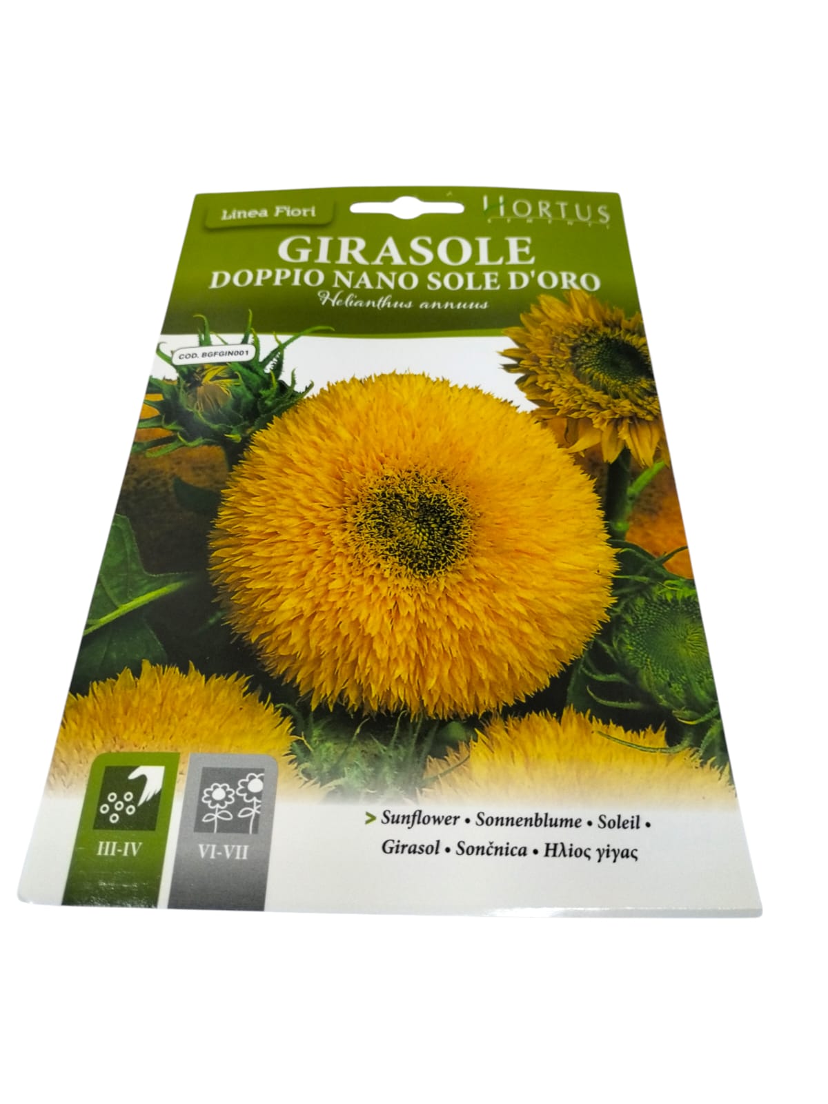 WhatsApp Image 2025-12-02 at 9.53.01 AM