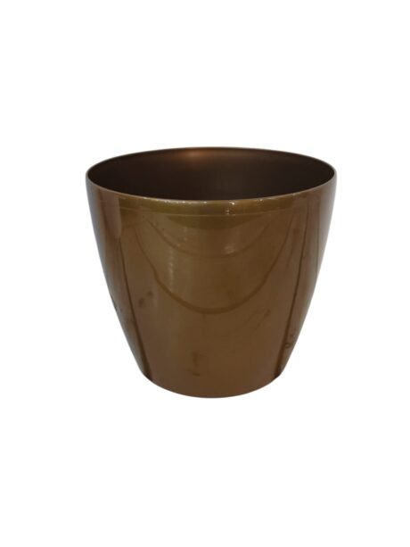 PLL Magnolia Gold H22 X D25cm